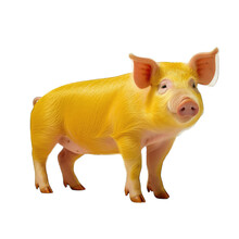 A Yellow Pig