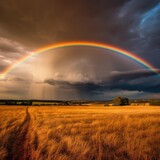 Fototapeta Tęcza - Beautiful rainbow landscape in the field after the rain. Generative AI.