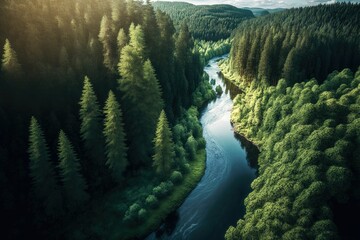 Wall Mural - Small river meandering between the green trees of a beautiful forest. Top down drone shot ,made with Generative AI