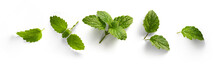 Fresh Mint Leaves Collection With Real Transparent Shadow Isolated On Transparent Background; Png Food Design Element