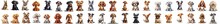 40 Cute Cartoon Dogs I A Sitting Position