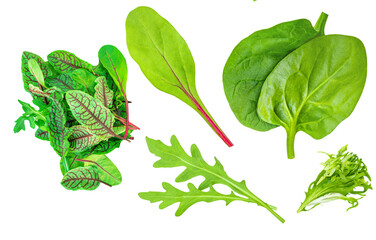 Wall Mural - Salad leaves mix with Spinach leaf With ruccola, radicho   isolated on white background. Salad Collection  top view, flat lay. Creative layout.