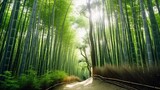 Fototapeta Dziecięca - Beautiful bamboo tunnel
