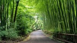 Fototapeta Sypialnia - Beautiful bamboo tunnel. generative AI