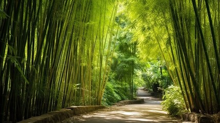  Beautiful bamboo tunnel. generative AI