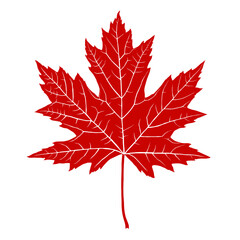 maple leaf stencil