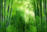 Fototapeta Dziecięca - Serene Green Bamboo Background