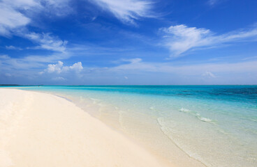 Wall Mural - Idyllic Beach with Palm Trees at the Maldives, Indian Ocean