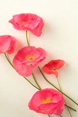 Wall Mural - pink poppies on a light background