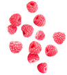 levitating raspberry on a white isolated background