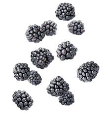 levitating fresh blackberry on a white isolated background