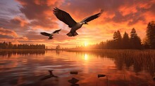A Stunning Sunrise Over A Peaceful Lake With Majestic Geese In Flight