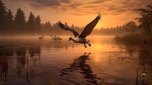 A Stunning Sunrise Over A Peaceful Lake With Majestic Geese In Flight
