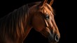 © Scheidle-Design - brown horse generative ai