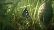 A butterfly emerging from its cocoon in a lush meadow