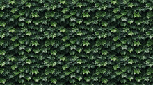 Seamless Ivy Pattern, Created With AI Generative Technology