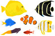 A set of different salt water tropical fish, in a cut paper style with textures. Yellow tang, French Angelfish, Yellowtail blue damsel, Clownfish, Copperband butterfly, Bicolor blenny, Flame cardinal

