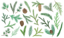 Set Of Christmas Tree Branches. Evergreen Pine Growths With Cones, Cedar And Coniferous Twigs. Winter Elements For New Year Decorations. Cartoon Flat Vector Collection Isolated On White Background