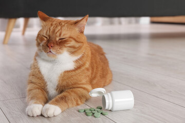 Wall Mural - Cute ginger cat and vitamin pills indoors. Space for text