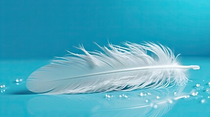 Wall Mural - White light airy soft bird feather