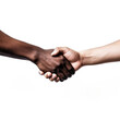 © madango - Sealing the Deal: Firm Handshake on a Clean White Background