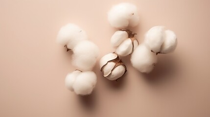 Natural organic raw cotton flowers on a minimalist pastel color background. Generative Ai