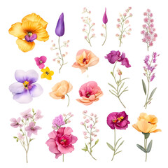 Sticker - Minimalist elements for watercolour flowers set on transparent background,generative ai