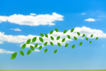 Wall Mural - beautiful blue sky with green leaves in the wind.