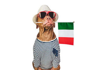 Cute dog and Italian Flag. Closeup, indoors. Studio photo. Congratulations for family, loved ones, relatives, friends and colleagues. Pets care concept