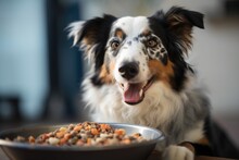 Dog, Happily Eating Homemade Dog Food From Bowl, Created With Generative Ai