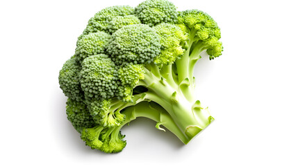 Wall Mural - broccoli isolated on white background created with Generative AI