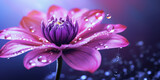 Schöne lila farbige Blume mit Wassertropfen blüht geöffnet Nahaufnahme für Poster und als Hintergrundmotiv, ai generativ