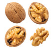 Set of delicious walnuts cut out