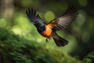 Wall Mural - male redstart flying over lush green forest, created with generative ai