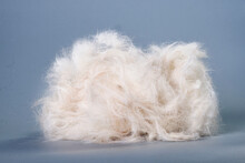 Close Up Of Bunch Of Dog Hair Fur After Brushing And Grooming. The Concept Of Animal Care