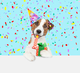 Wall Mural - Jack russell terrier puppy wearing a party cap blows into party horn and holds gift box above empty white banner