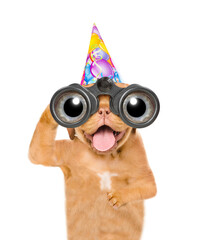 Aufkleber - Happy mastiff puppy wearing party cap looks through binoculars. Isolated on white background
