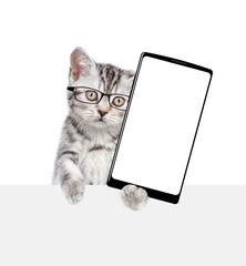 Poster - Smart cat wearing eyeglasses looks above empty white banner and shows big smartphone with blank screen. isolated on white background
