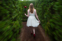 Young Woman Walks With Bouquet Of Red Roses In A Garden Area; Luray, Virginia, United States Of America