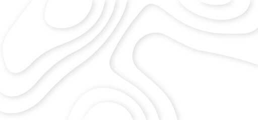 Poster - abstract curve line white background. soft smooth lines curving abstract white paper cut banner. geo