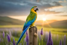 Blue And Yellow Macaw In The Sun Generated AI