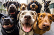 group of funny dogs selfie ai generated art
