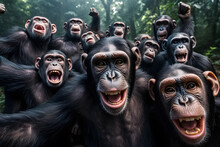 Chimpanzee Making Selfie Looking At The Camera Ai Generated Art
