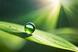 © ART-PHOTOS - Beautiful water drops sparkle in sun on leaf in sunlight, macro. Big droplet of morning dew outdoor, beautiful round bokeh. Amazing artistic image of purity of natur, --ar 3:2