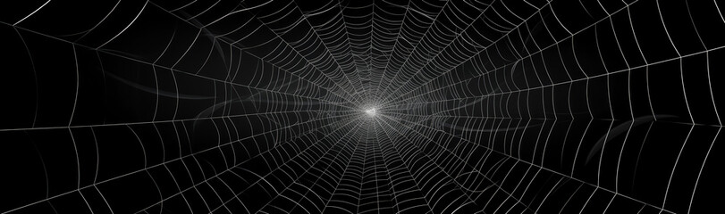Spider web on a black background.