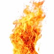 © Ecleposs - Burning Fire Flames on White Background generative AI
