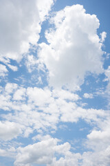 Wall Mural - a summer day with blue sky