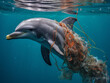 Delfín preso entre redes y basura