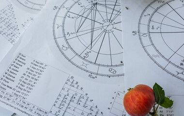 Wall Mural - Printed birth charts with a small red apple in the foreground