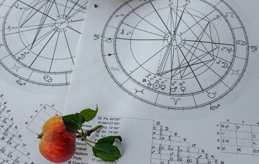 Wall Mural - Printed birth charts with small red apples in the foreground